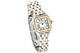 Cartier panthere (dama)