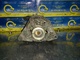 Alternador 231000u060 nissan 173901