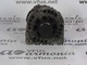 Alternador tipo 8200086130 de renault 