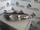 Faro peugeot 406 635703