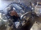 Motor d6ba de ford mondeo berlina (ge)