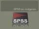 Ayuda en el manejo del programa spss